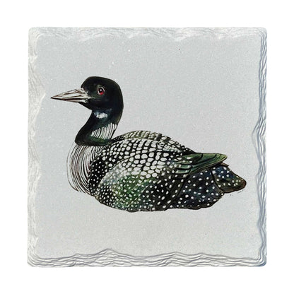 Pamela Cassidy | Loon | Drink Coaster