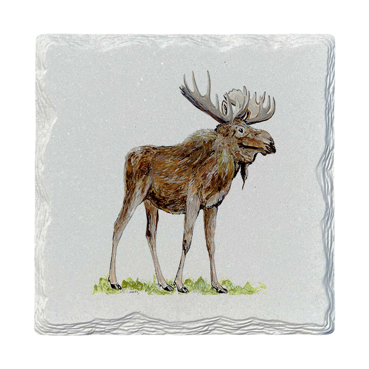 Pamela Cassidy | Moose | Drink Coaster