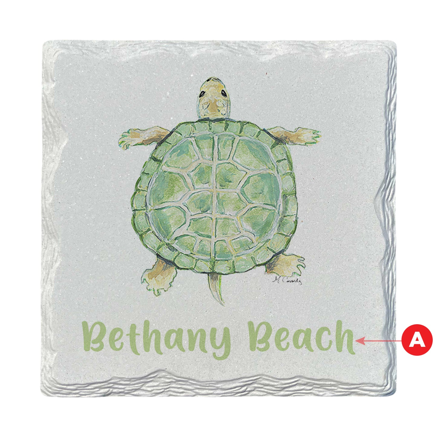 Pamela Cassidy | Turtle | Drink Coaster