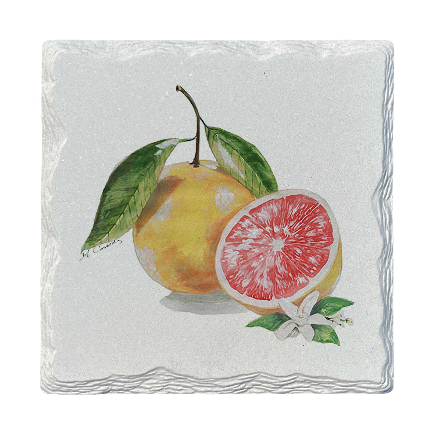 Pamela Cassidy | Grapefruit | Drink Coaster