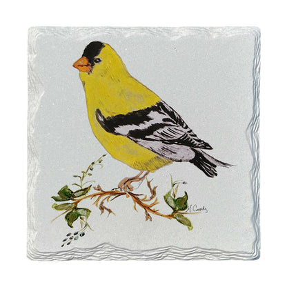 Pamela Cassidy | Goldfinch | Drink Coaster