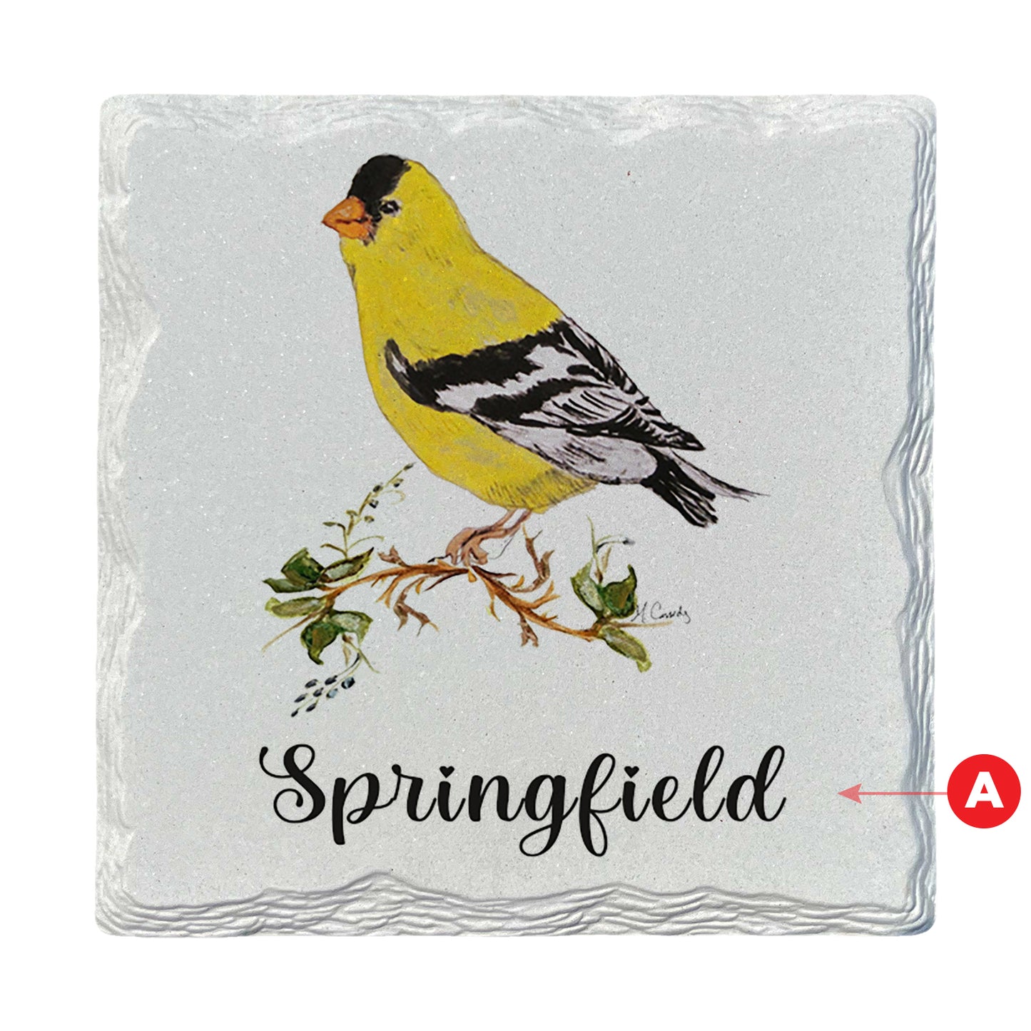 Pamela Cassidy | Goldfinch | Drink Coaster