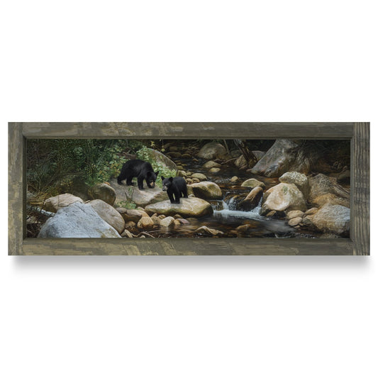Rustic Brown frame