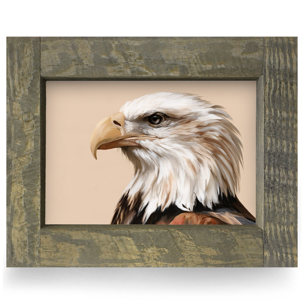 Bald Eagle Portrait | Real Wood Framed Wall Art Print