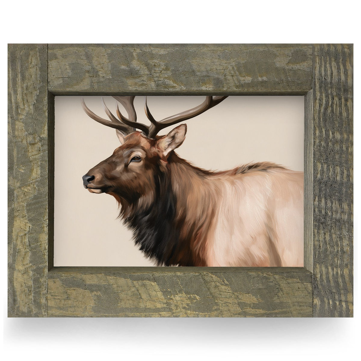 Bull Elk Portrait | Real Wood Framed Wall Art Print