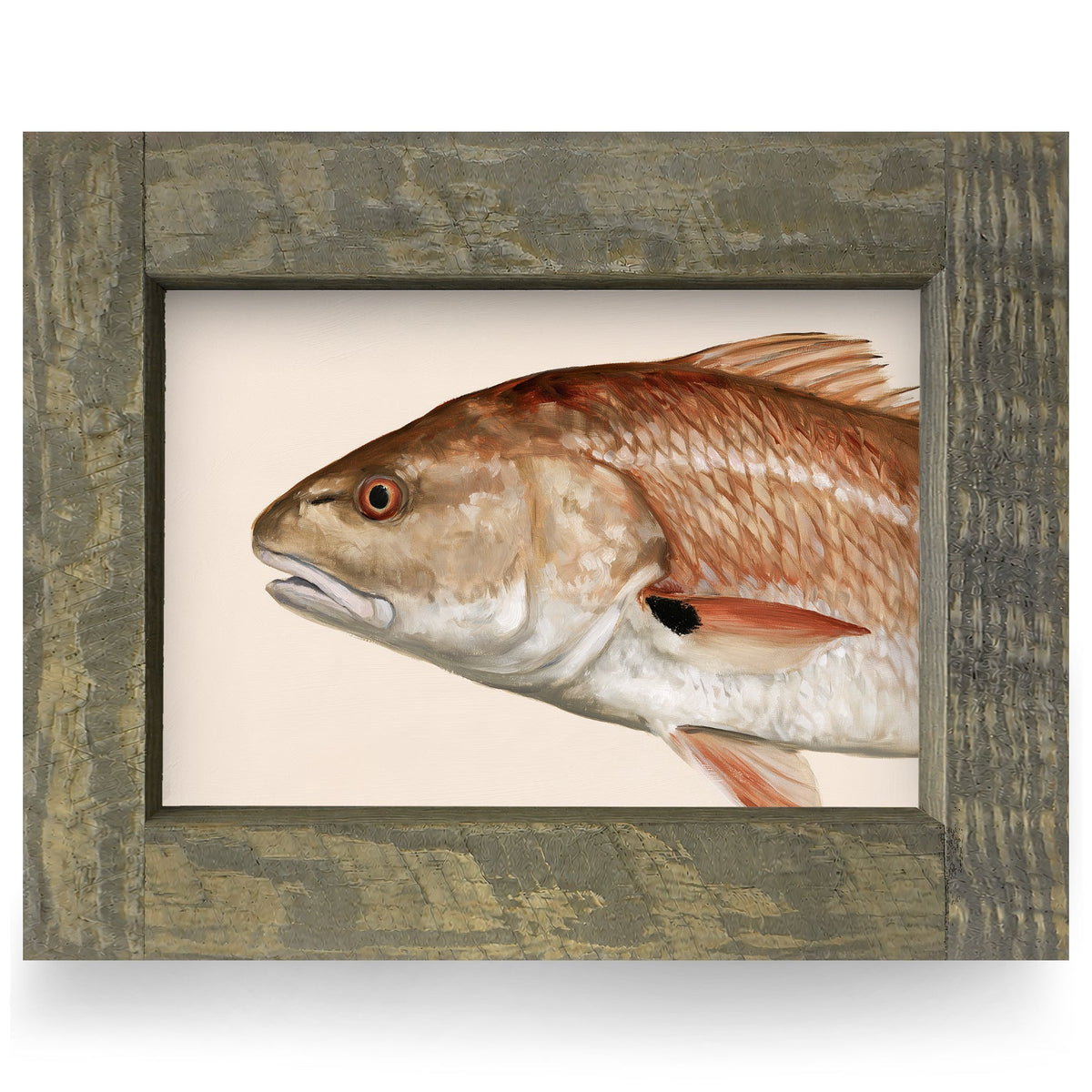 Redfish Portrait | Real Wood Framed Wall Art Print