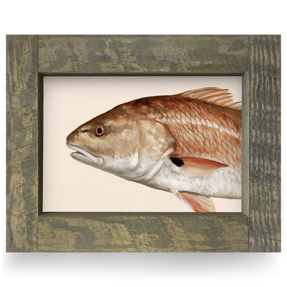 Redfish Portrait | Real Wood Framed Wall Art Print