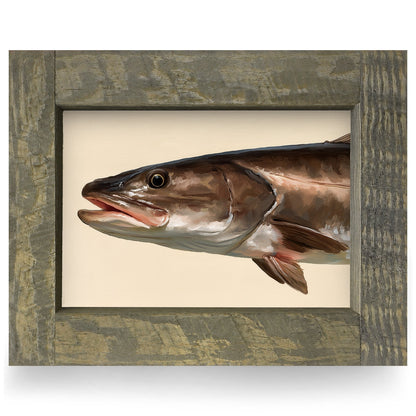 Speckled Sea Trout Portrait | Real Wood Framed Wall Art Print