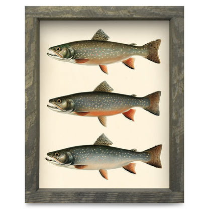 Rainbow Trout Trio | Real Wood Framed Wall Art Print