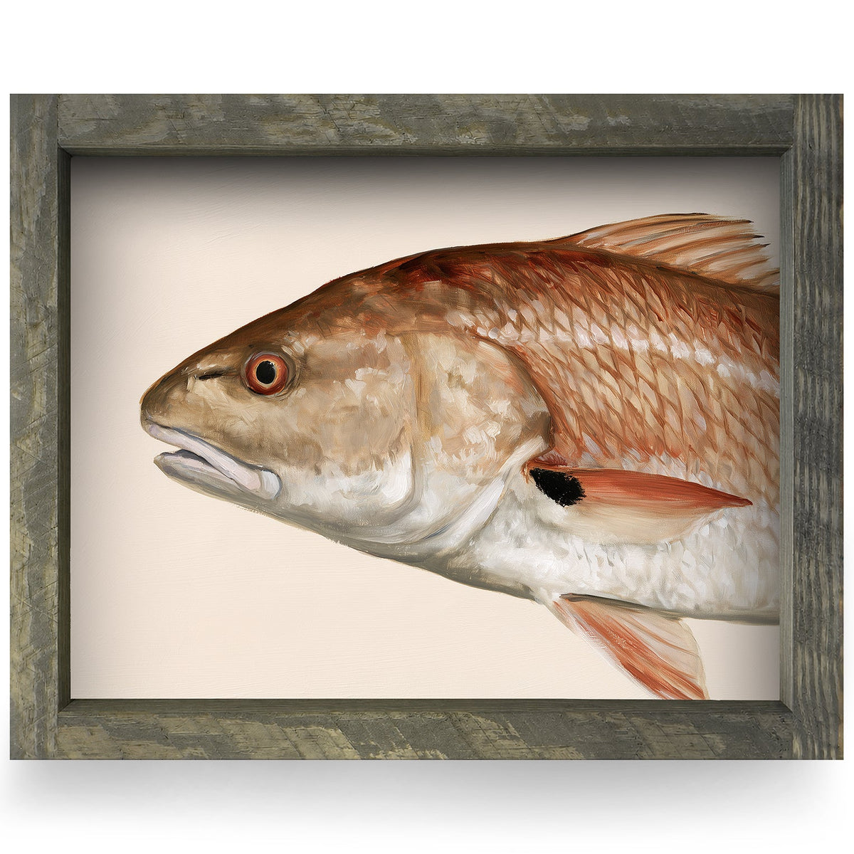 Redfish Portrait | Real Wood Framed Wall Art Print