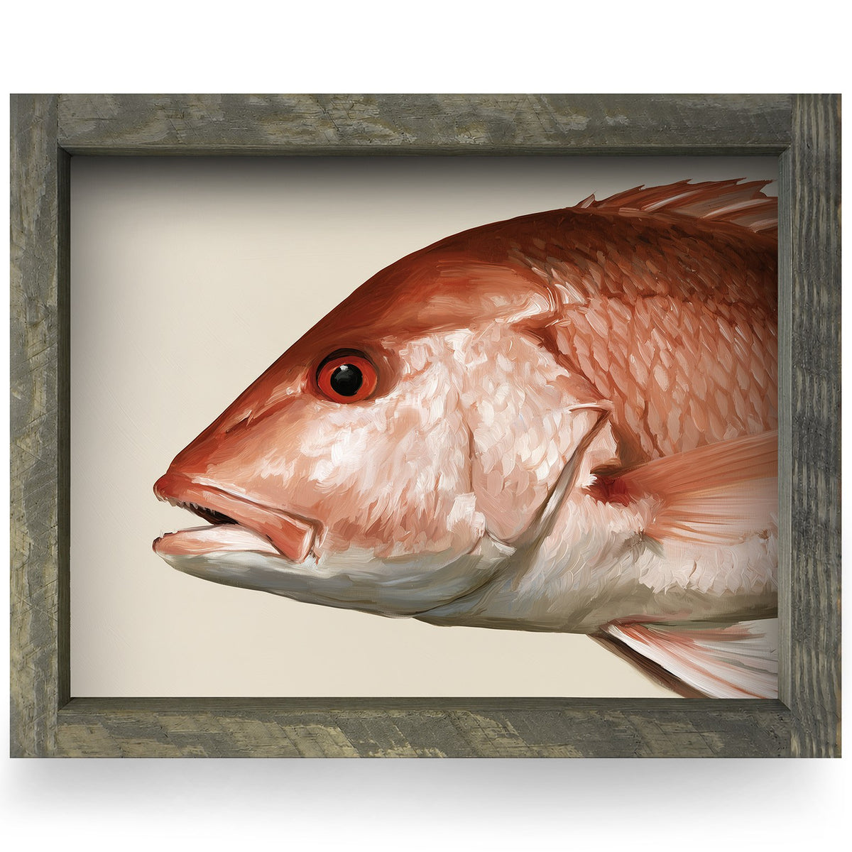Red Snapper Portrait | Real Wood Framed Wall Art Print