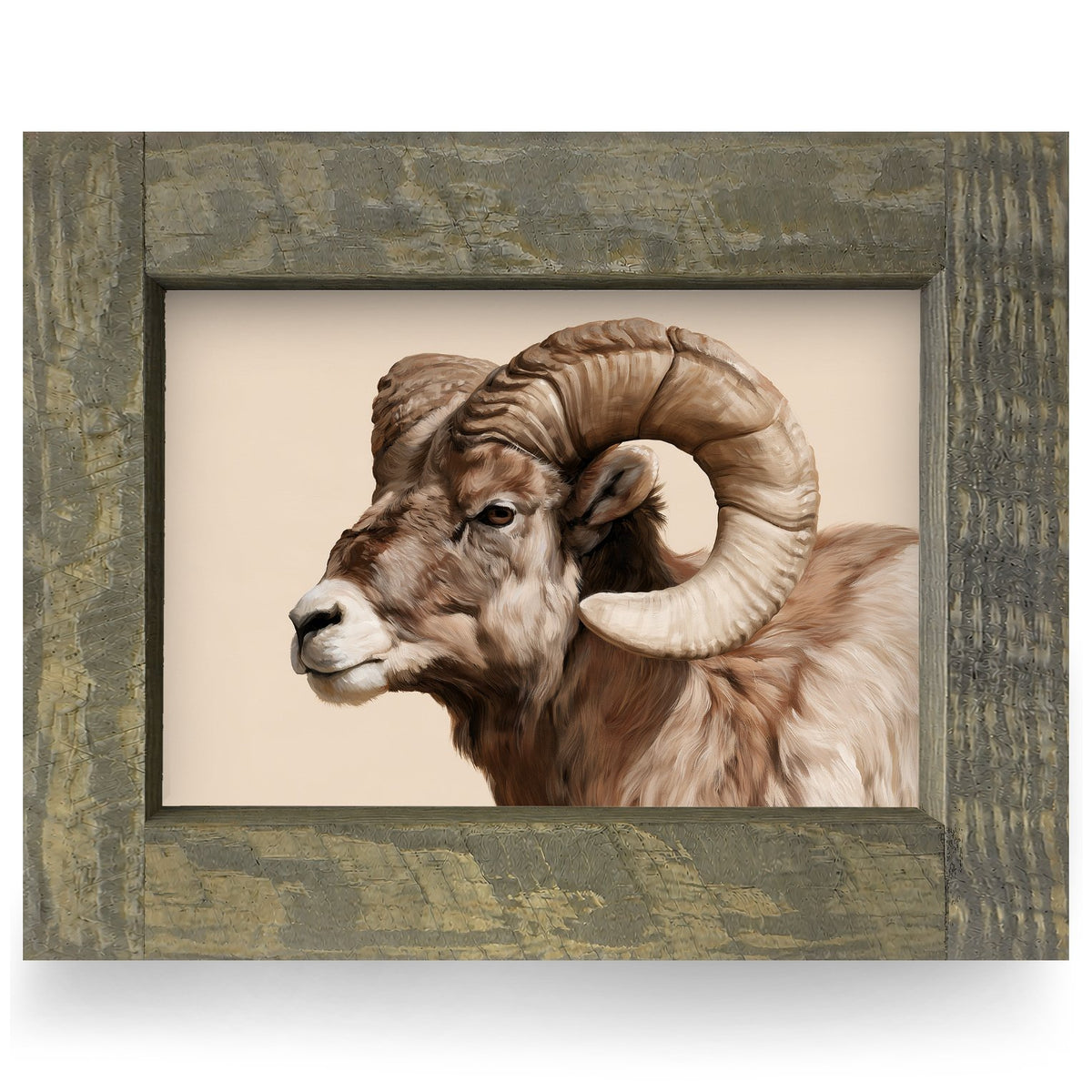 Bighorn Ram Portrait | Real Wood Framed Wall Art Print