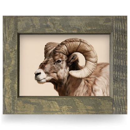 Bighorn Ram Portrait | Real Wood Framed Wall Art Print