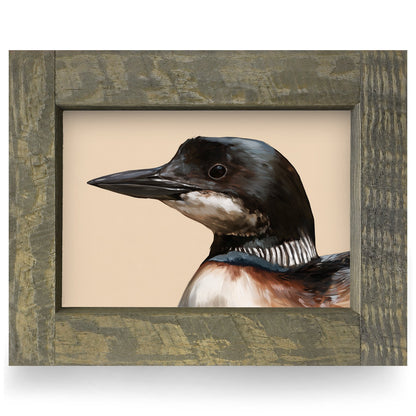 Common Loon Portrait | Real Wood Framed Wall Art Print