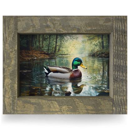 Mallard Afloat | Real Wood Framed Wall Art Print