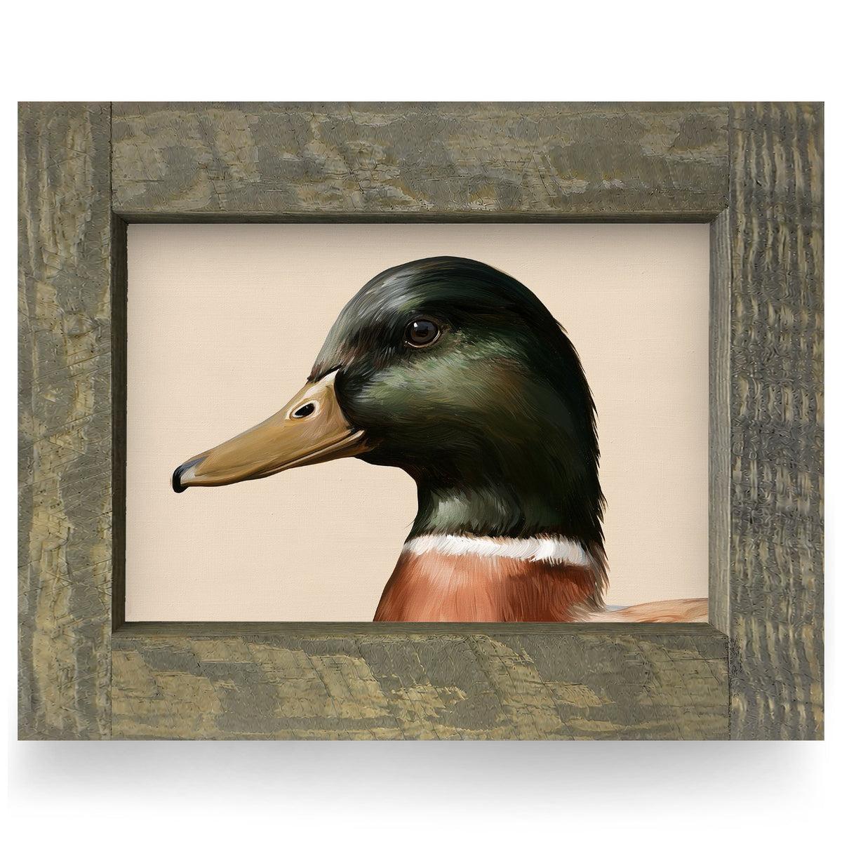 Mallard Drake Portrait | Real Wood Framed Wall Art Print