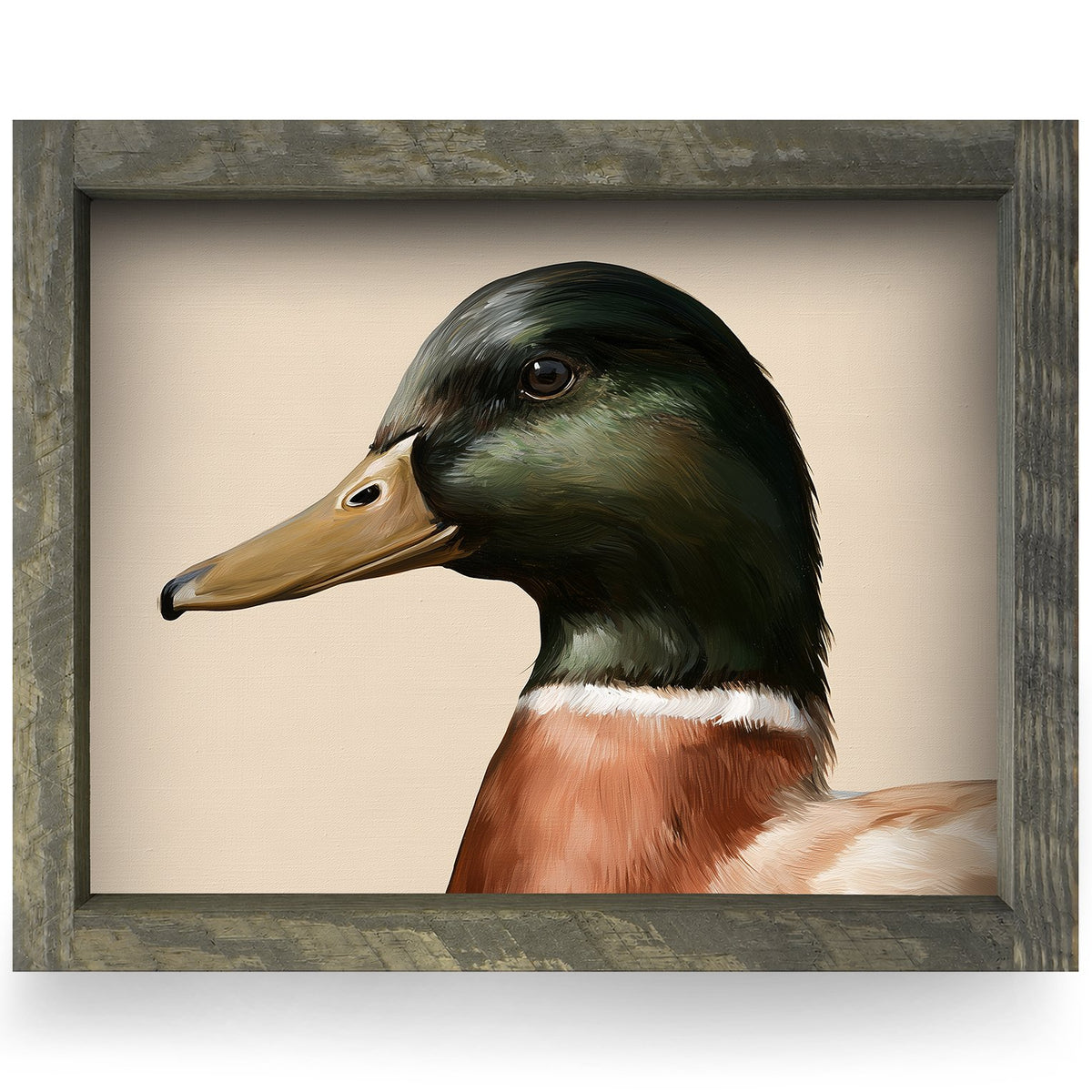 Mallard Drake Portrait | Real Wood Framed Wall Art Print