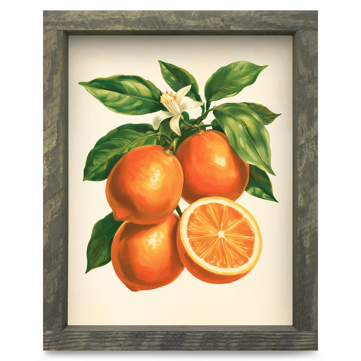 Vintage Orange Branch | Real Wood Framed Wall Art Print