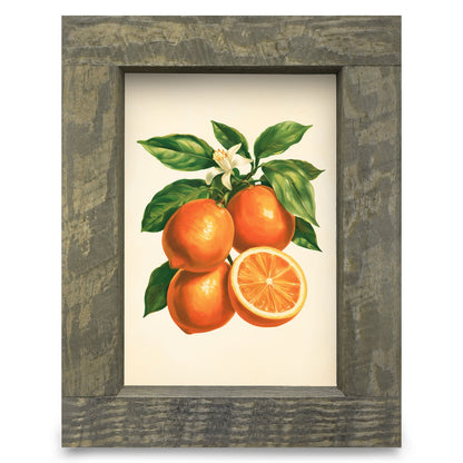 Vintage Orange Branch | Real Wood Framed Wall Art Print