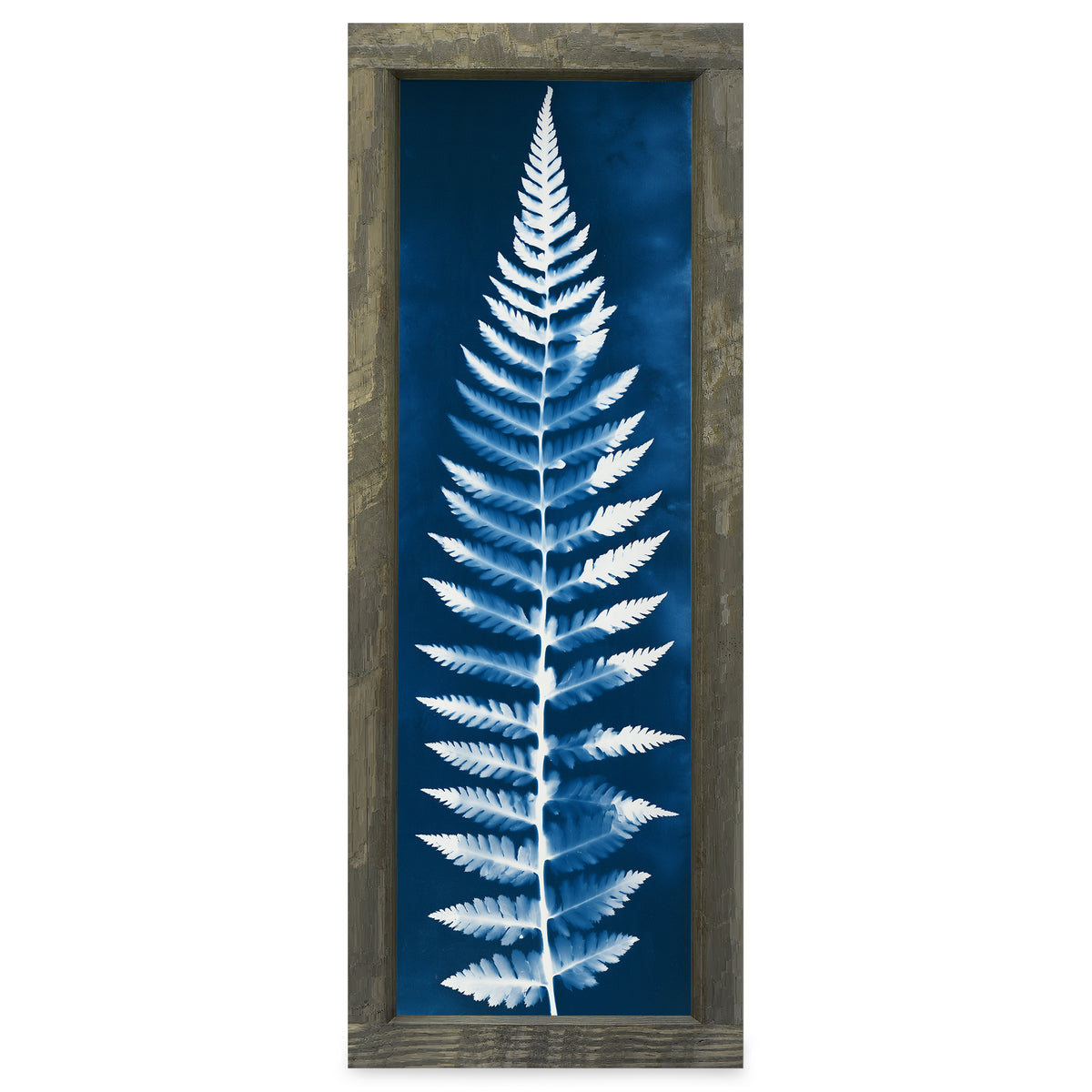Cyanotype Fern Frond real wood framed print, rustic brown frame