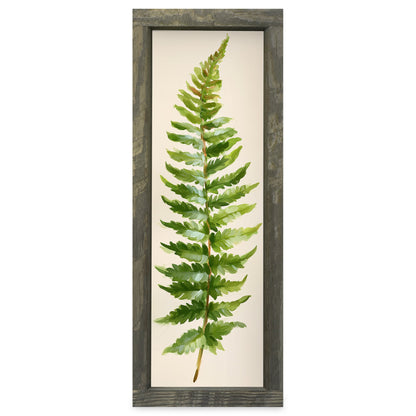 Fern Trio | Real Wood Framed Wall Art Print