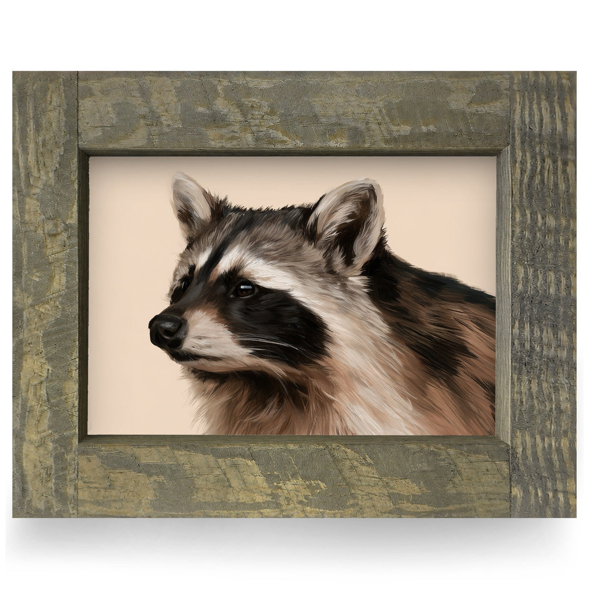 Raccoon Portrait | Real Wood Framed Wall Art Print