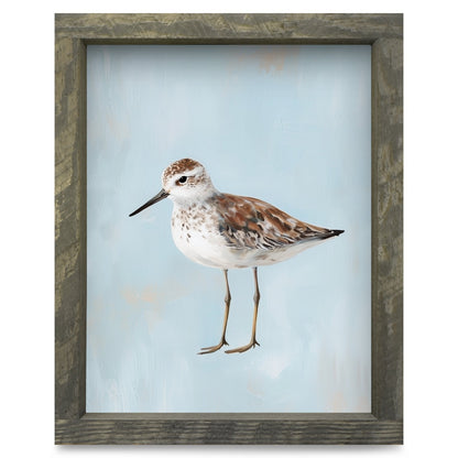Rustic Brown frame
