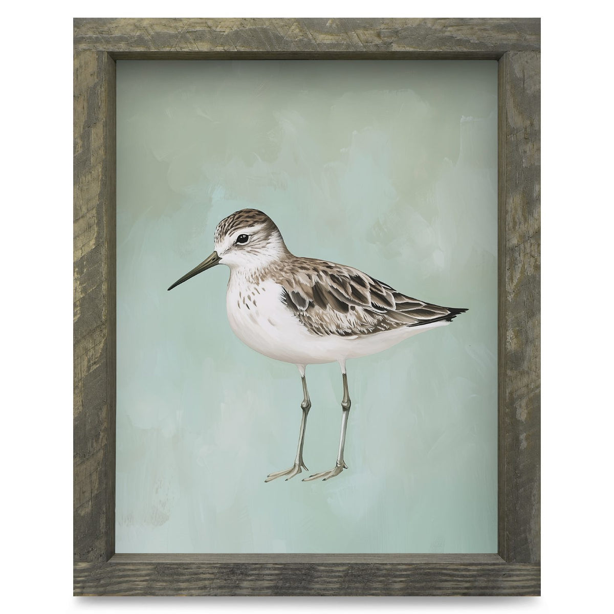 Green Sandpiper | Real Wood Framed Wall Art Print