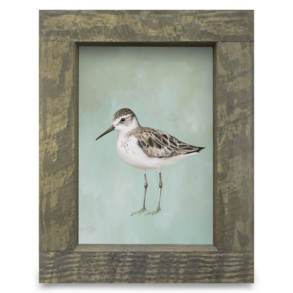 Green Sandpiper | Real Wood Framed Wall Art Print