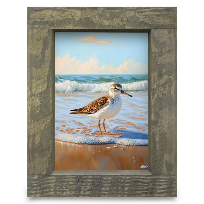 Beautiful Sandpiper | Real Wood Framed Wall Art Print