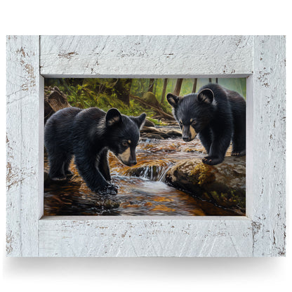 Black Bear Brook | Real Wood Framed Wall Art Print