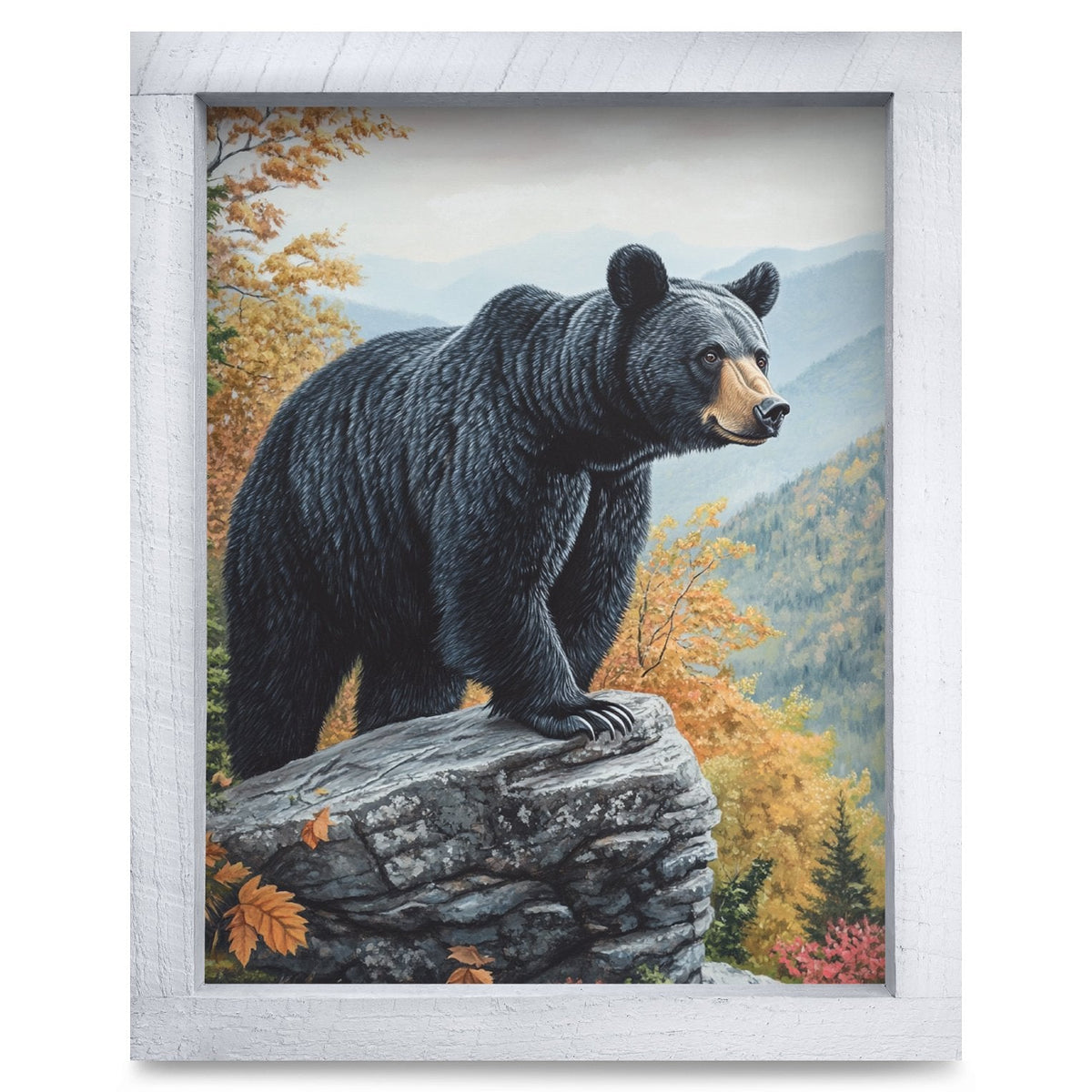 Rustic White frame