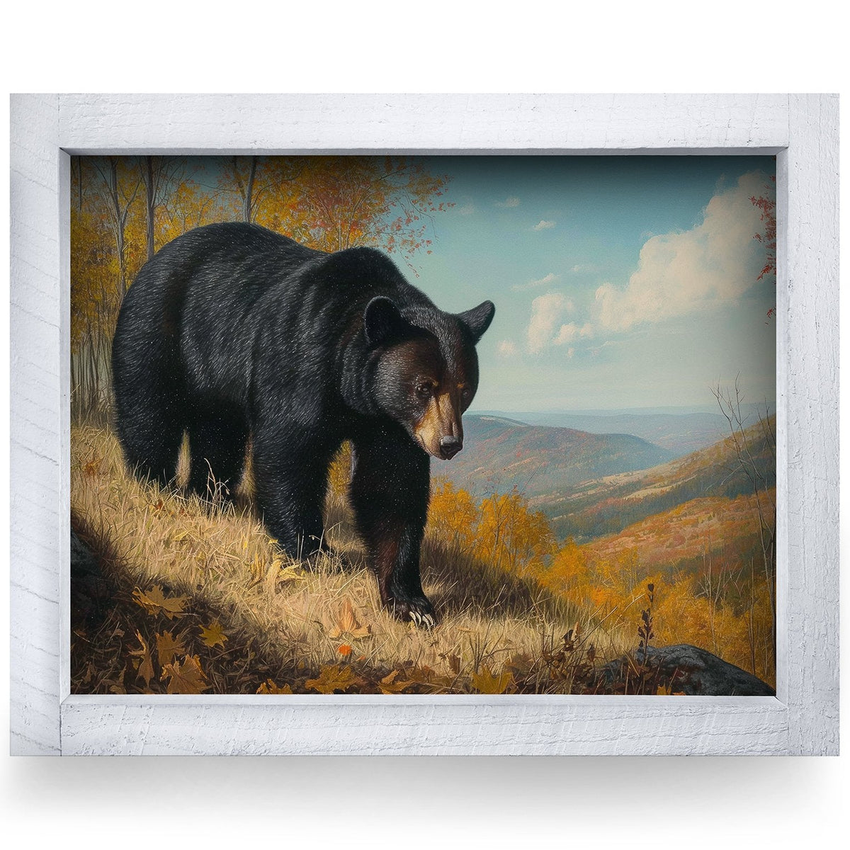 Rustic White frame