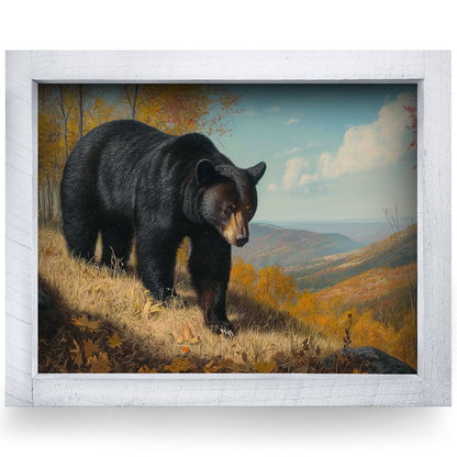 Rustic White frame