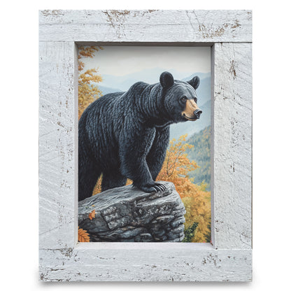 Big Guy Black Bear | Real Wood Framed Wall Art Print