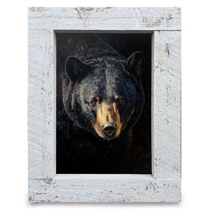 Handsome Black Bear Portrait | Real Wood Framed Wall Art Print