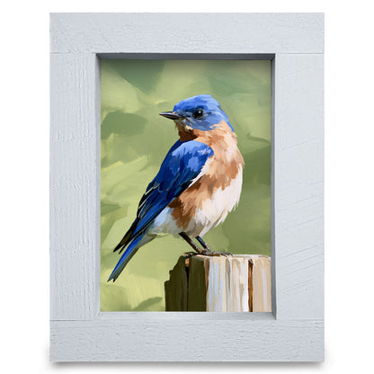 Perched Bluebird real wood framed print, rustic white frame