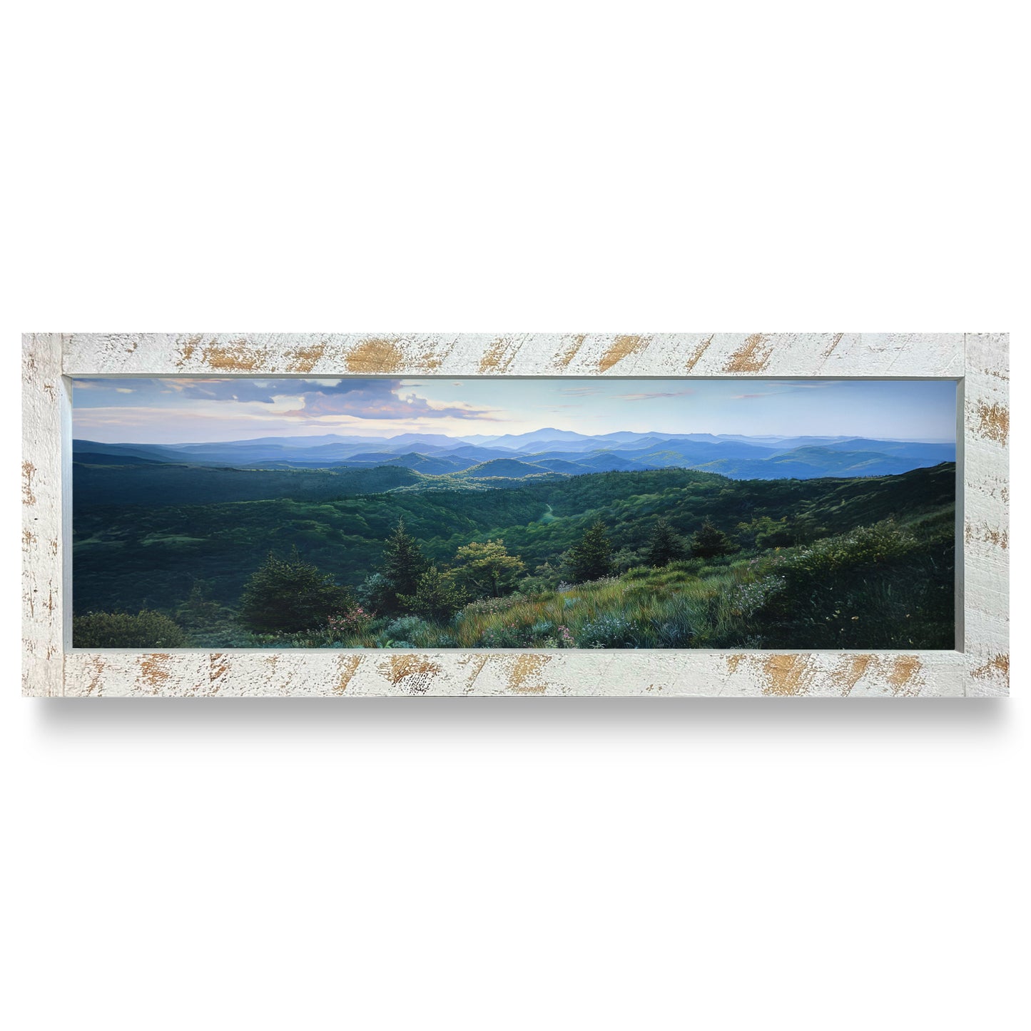 Blue Ridge Panorama | Real Wood Framed Wall Art Print | Skinny