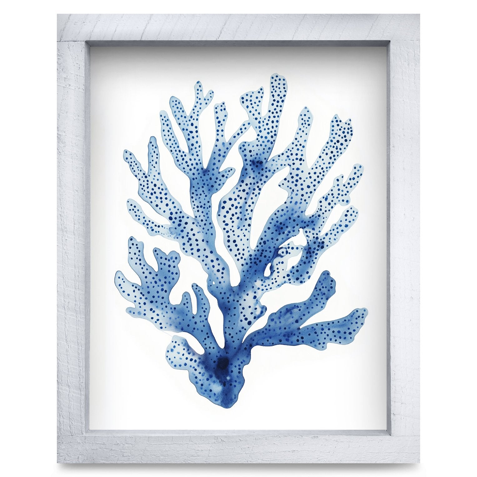 Rustic White frame