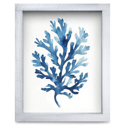 Rustic White frame