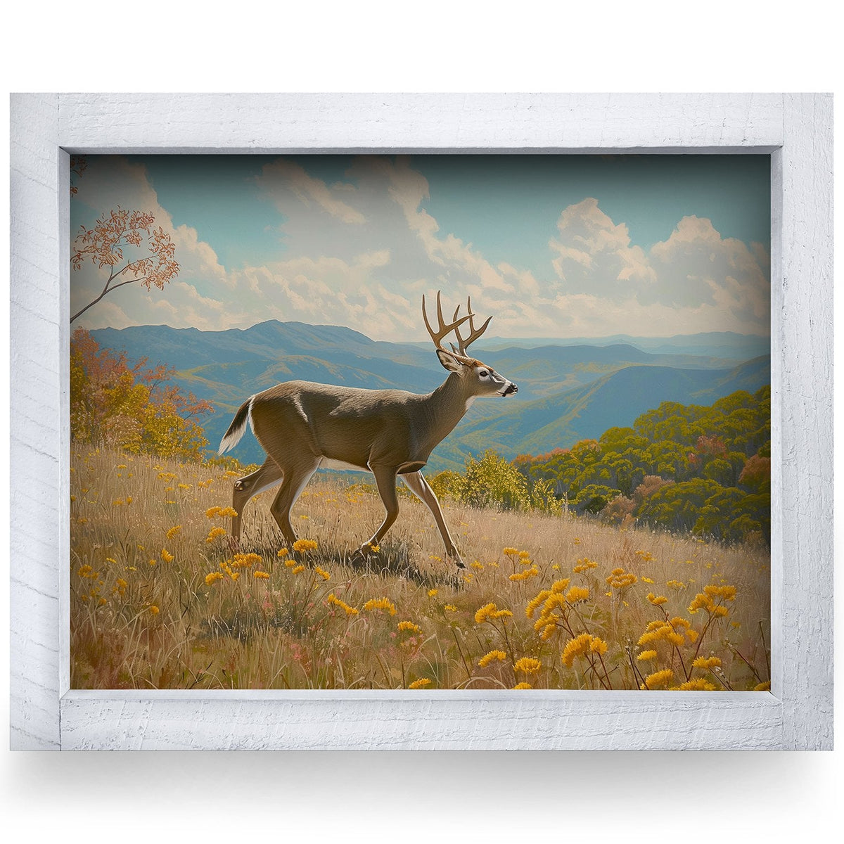 Rustic White frame