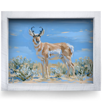 Rustic White frame