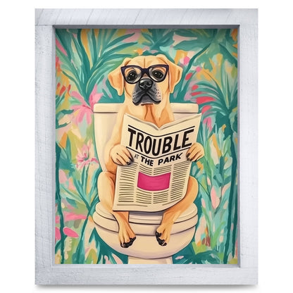 Rustic White frame