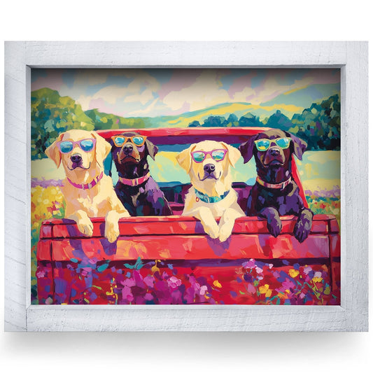 Rustic White frame