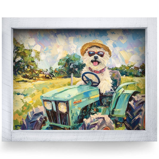 Rustic White frame