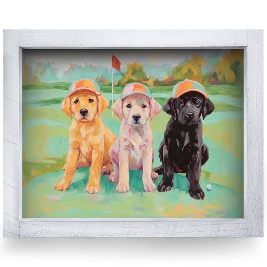 Rustic White frame