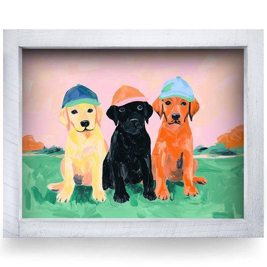Rustic White frame