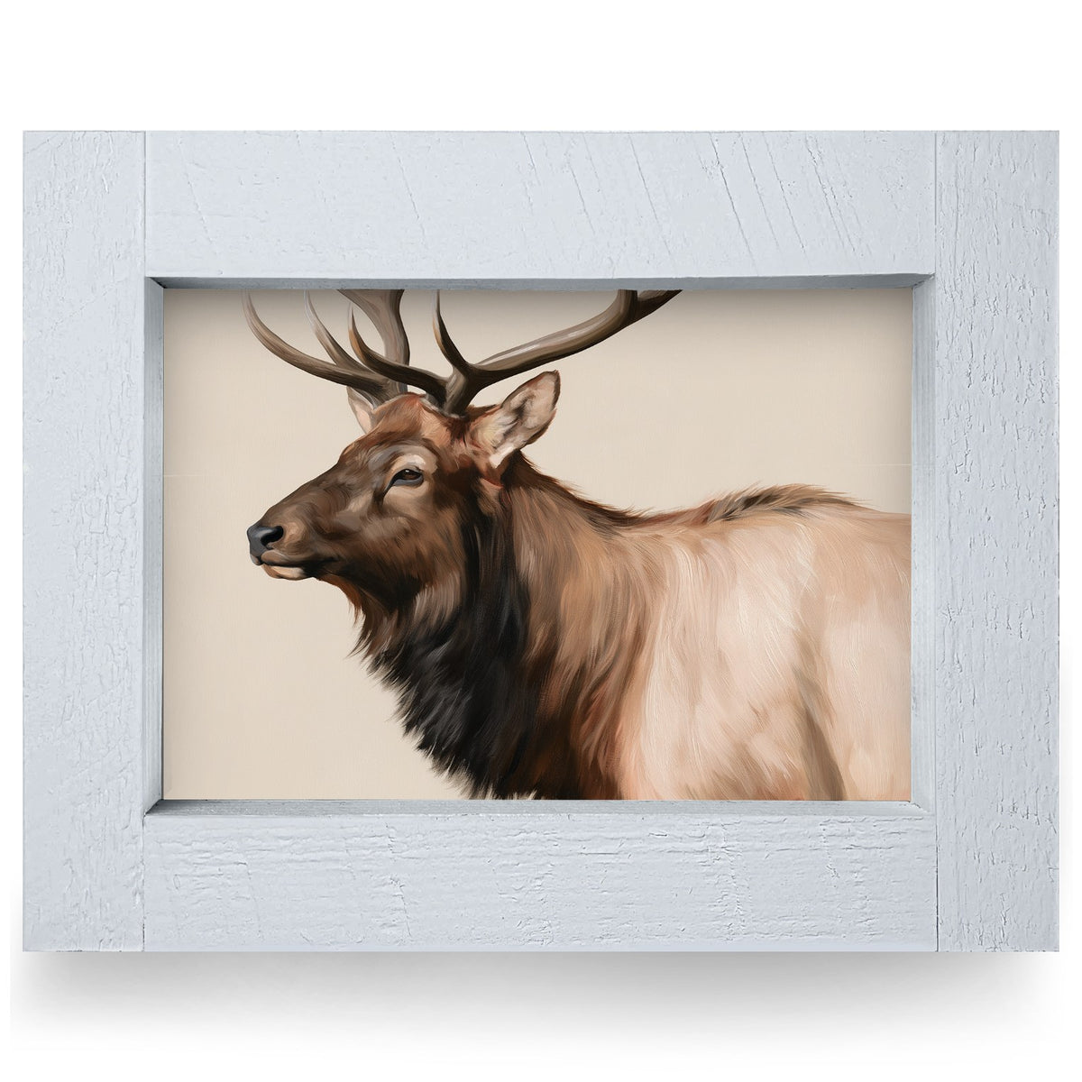 Bull Elk Portrait | Real Wood Framed Wall Art Print