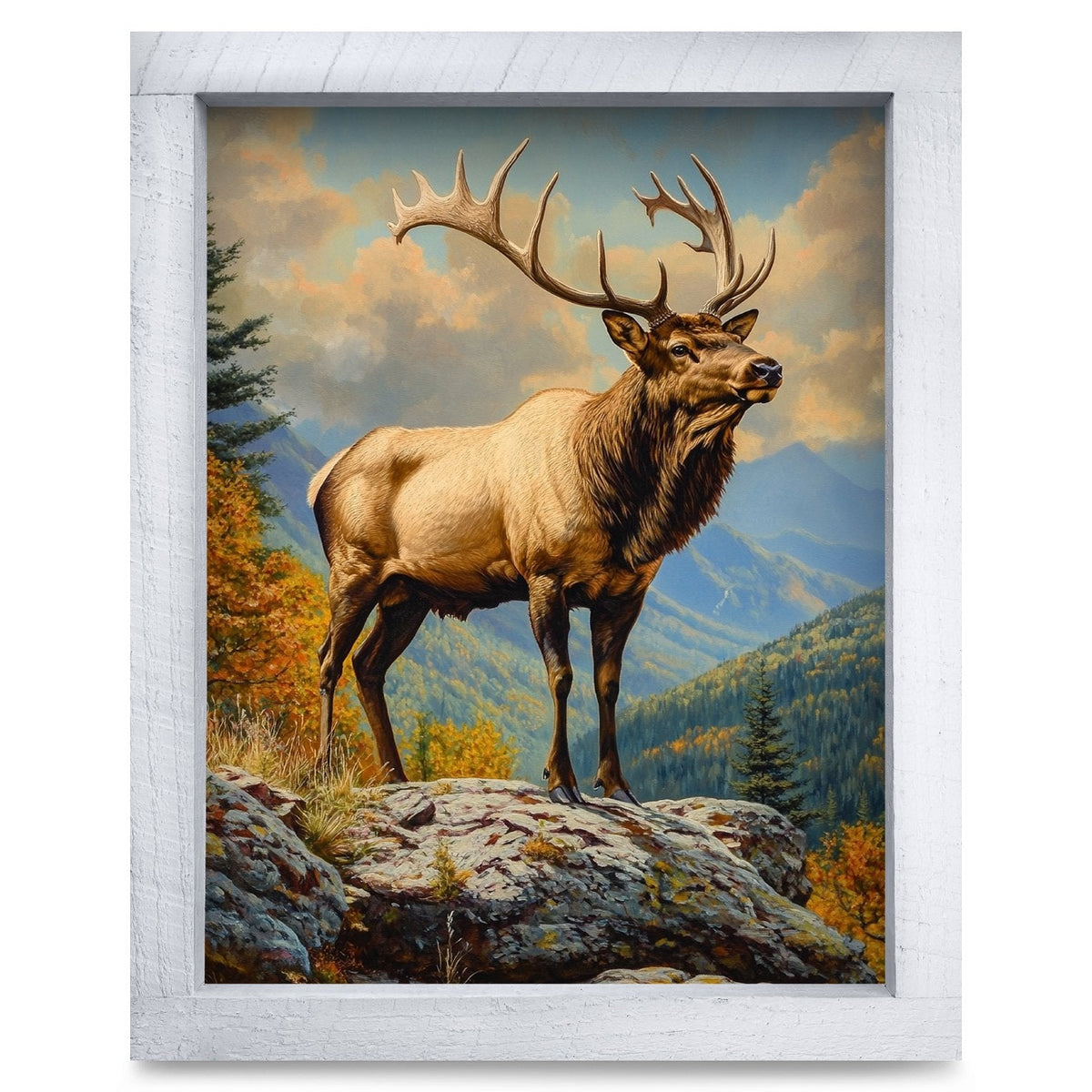 Rustic White frame