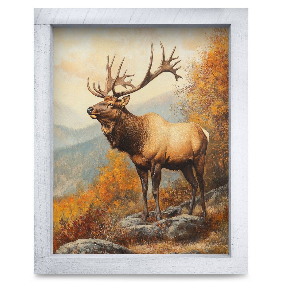 Rustic White frame
